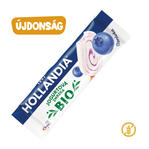 Hollandia Bio Áfonya Joghurt