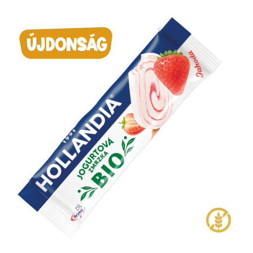 Hollandia Bio Áfonya Joghurt